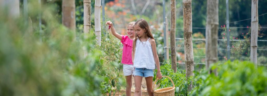 Gezin geniet van een familievakantie in Costa Rica, omringd door natuur en tropische stranden.